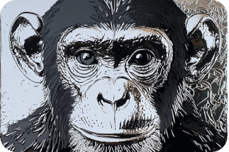 Special Silver Foil DTF Gang Roll